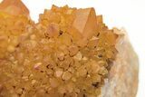 Sunshine Cactus Quartz Crystal Cluster - South Africa #212685-3